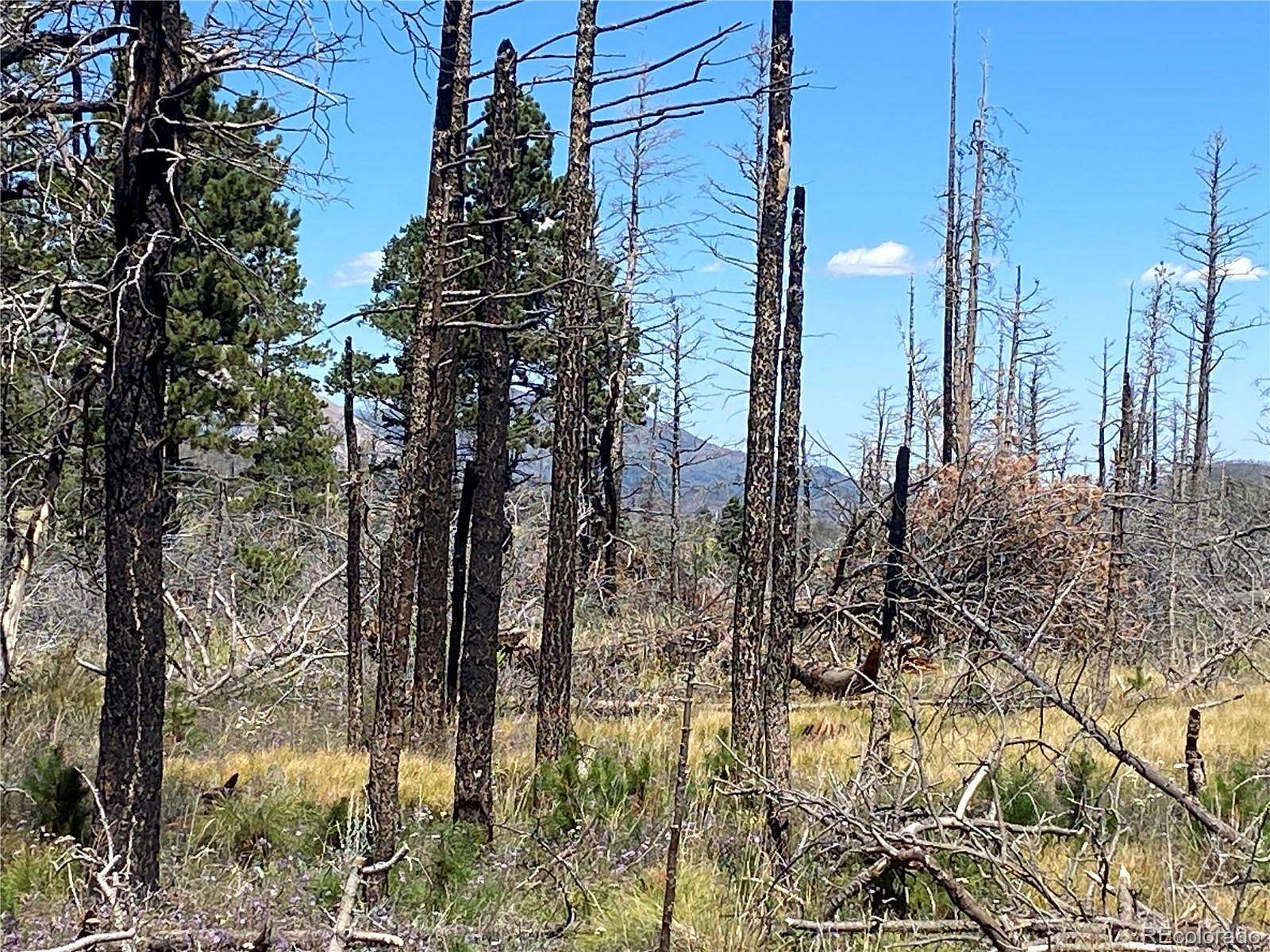 1.3 Acres of Residential Land for Sale in Fort Garland, Colorado