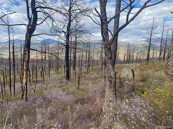 1.34 Acres of Residential Land for Sale in Fort Garland, Colorado