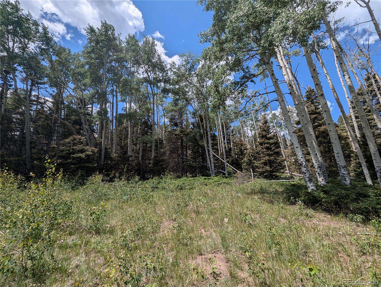1.4 Acres of Residential Land for Sale in Fort Garland, Colorado