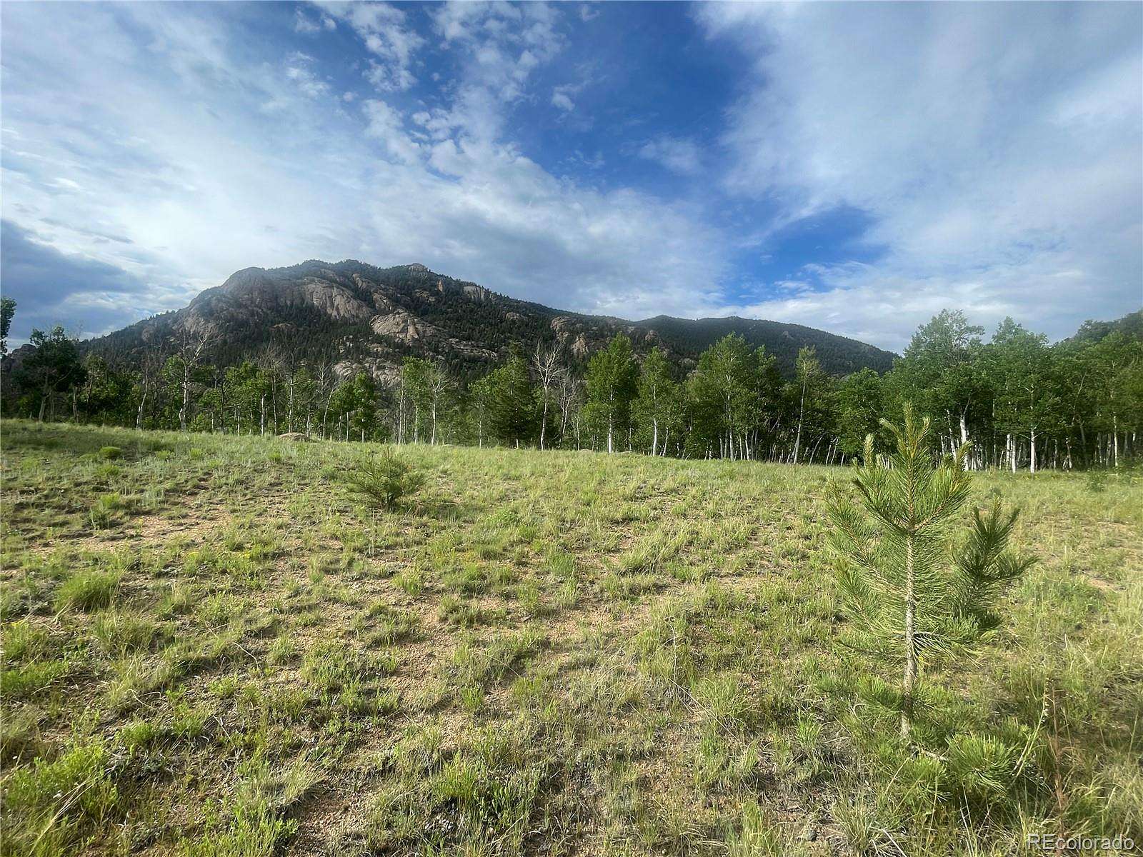 1 Acre of Residential Land for Sale in Lake George, Colorado