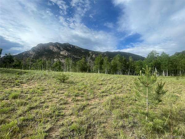 1 Acre of Residential Land for Sale in Lake George, Colorado