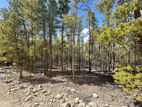 0.94 Acres of Residential Land for Sale in Twin Lakes, Colorado