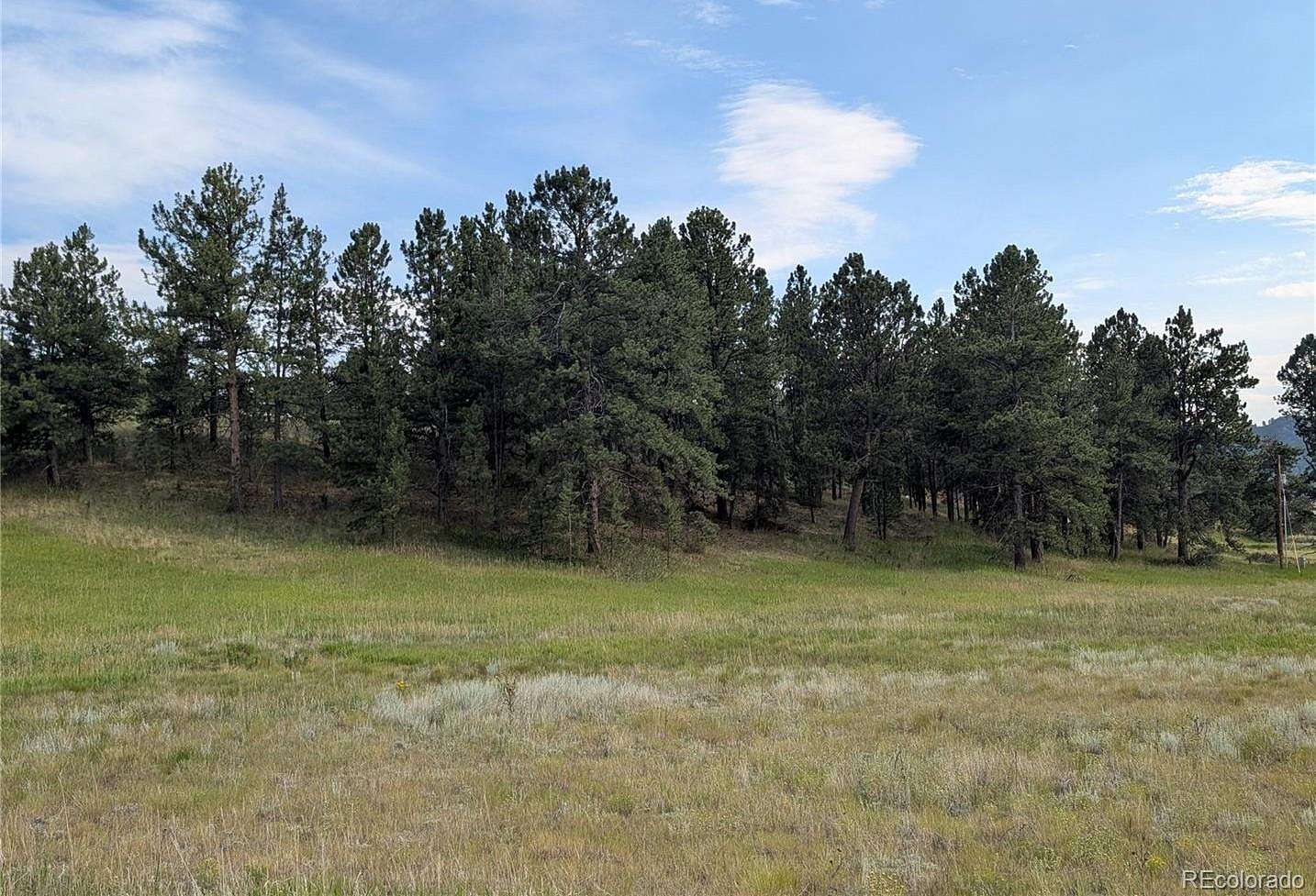 2.3 Acres of Residential Land for Sale in Florissant, Colorado