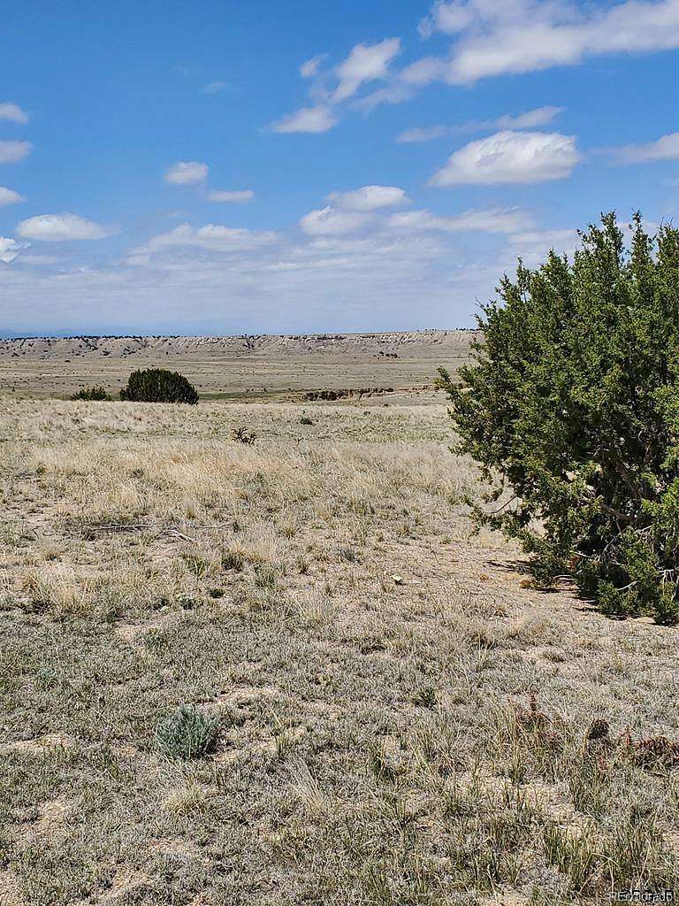 35.2 Acres of Land for Sale in Cedarwood, Colorado