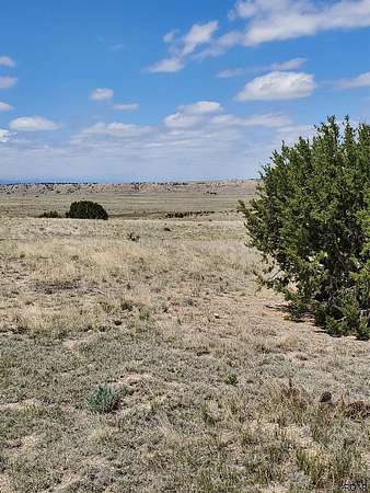 35.2 Acres of Land for Sale in Cedarwood, Colorado