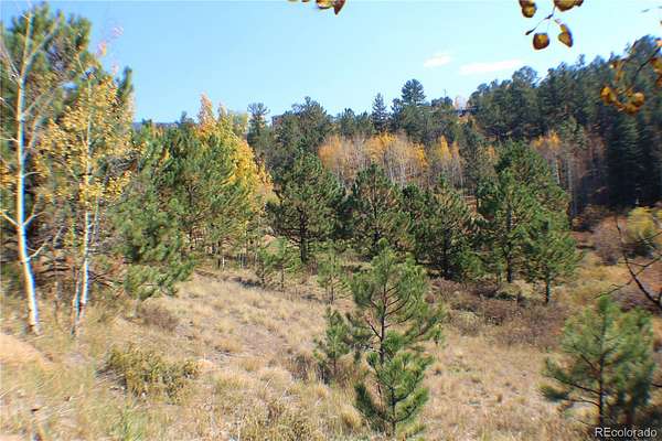 0.23 Acres of Residential Land for Sale in Bailey, Colorado