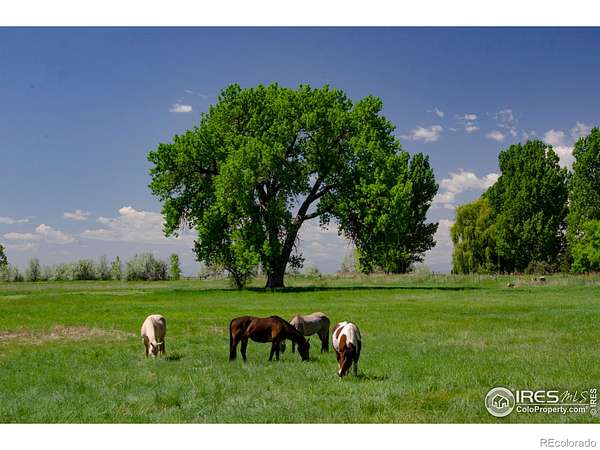 24.3 Acres of Agricultural Land with Home for Sale in Fort Collins, Colorado