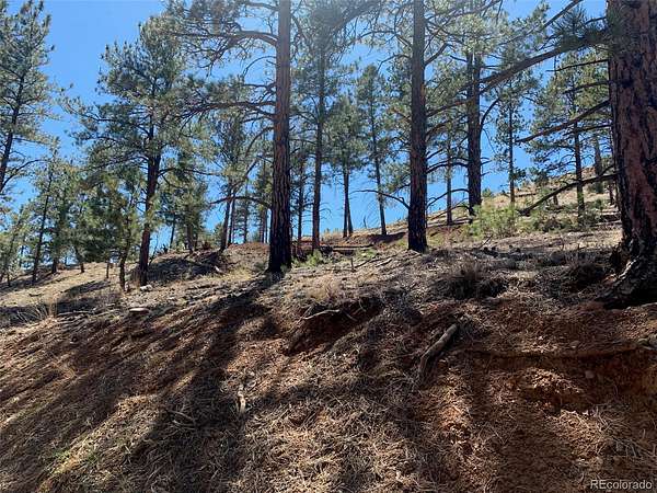 0.9 Acres of Residential Land for Sale in Woodland Park, Colorado