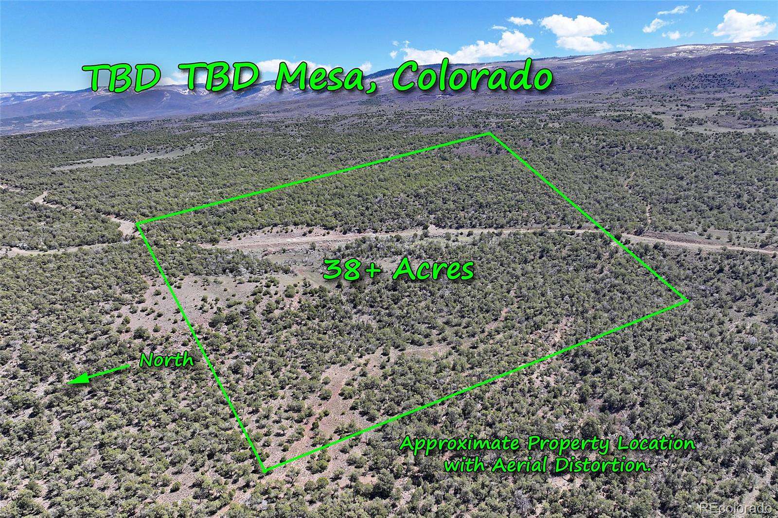 38.1 Acres of Recreational Land for Sale in Mesa, Colorado