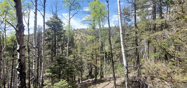 5 Acres of Land for Sale in Fort Garland, Colorado
