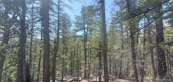 6.3 Acres of Residential Land for Sale in Fort Garland, Colorado