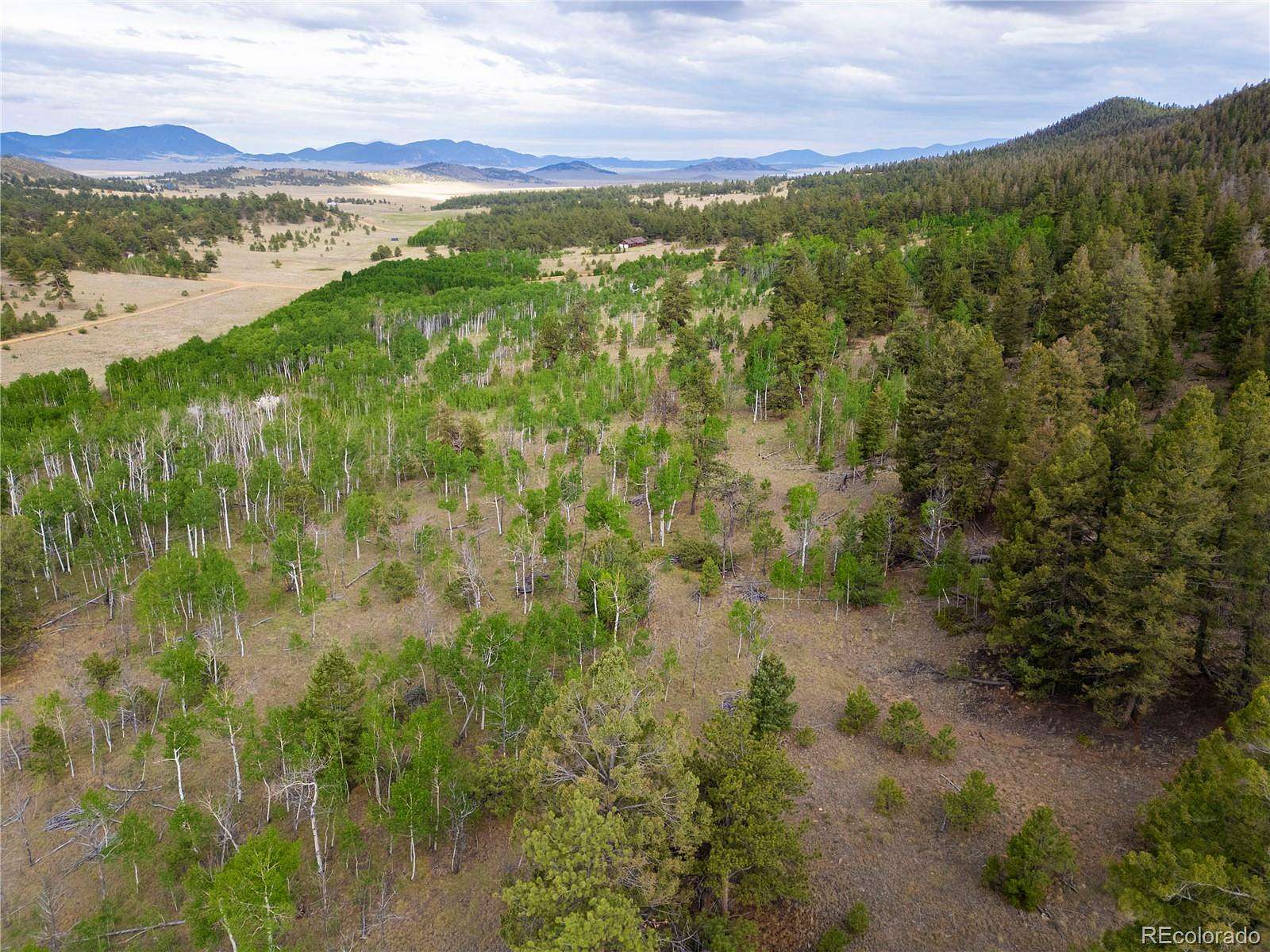 5 Acres of Residential Land for Sale in Hartsel, Colorado