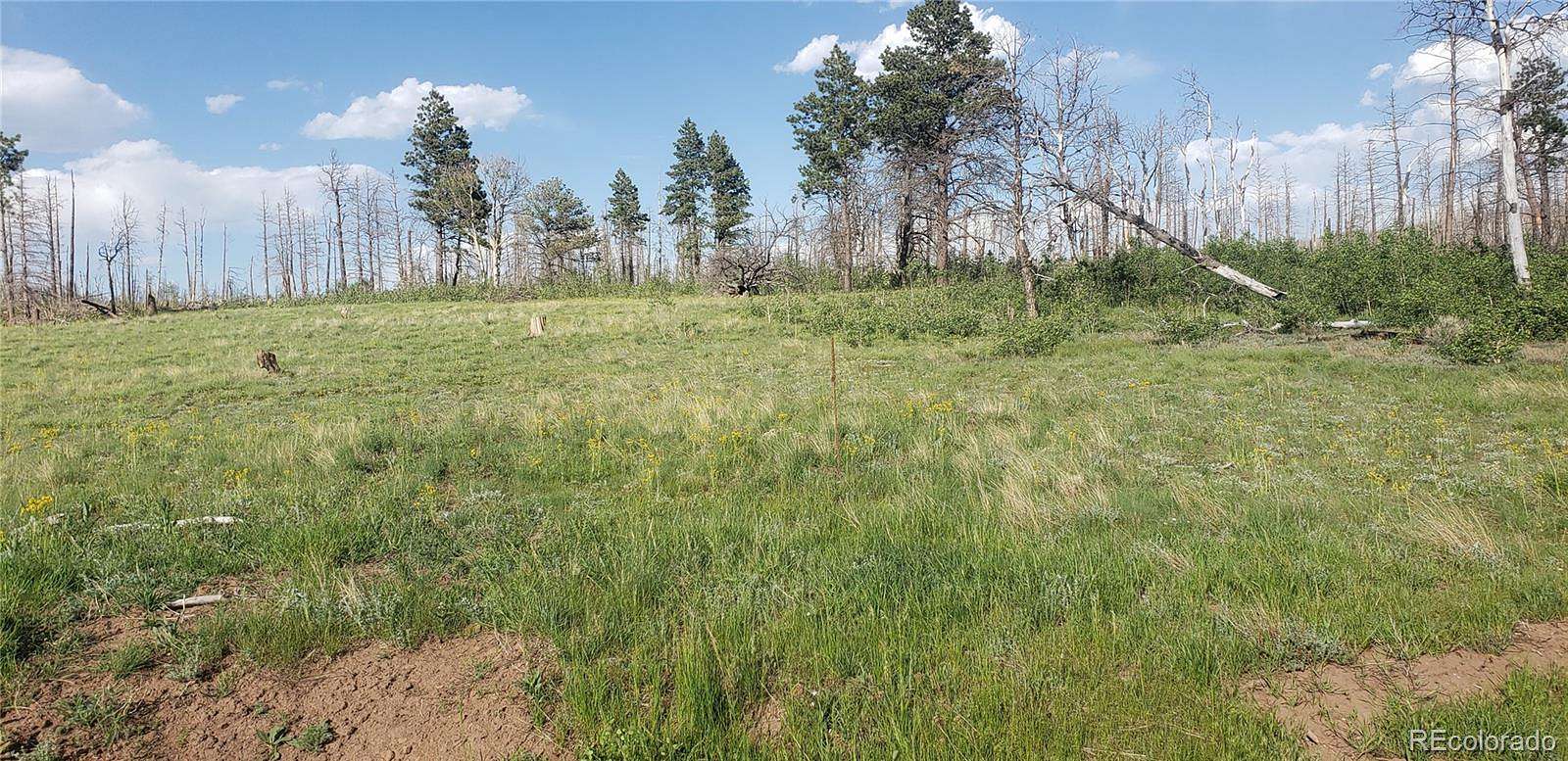 1.3 Acres of Residential Land for Sale in Fort Garland, Colorado