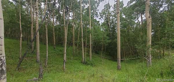 5.9 Acres of Residential Land for Sale in Fort Garland, Colorado