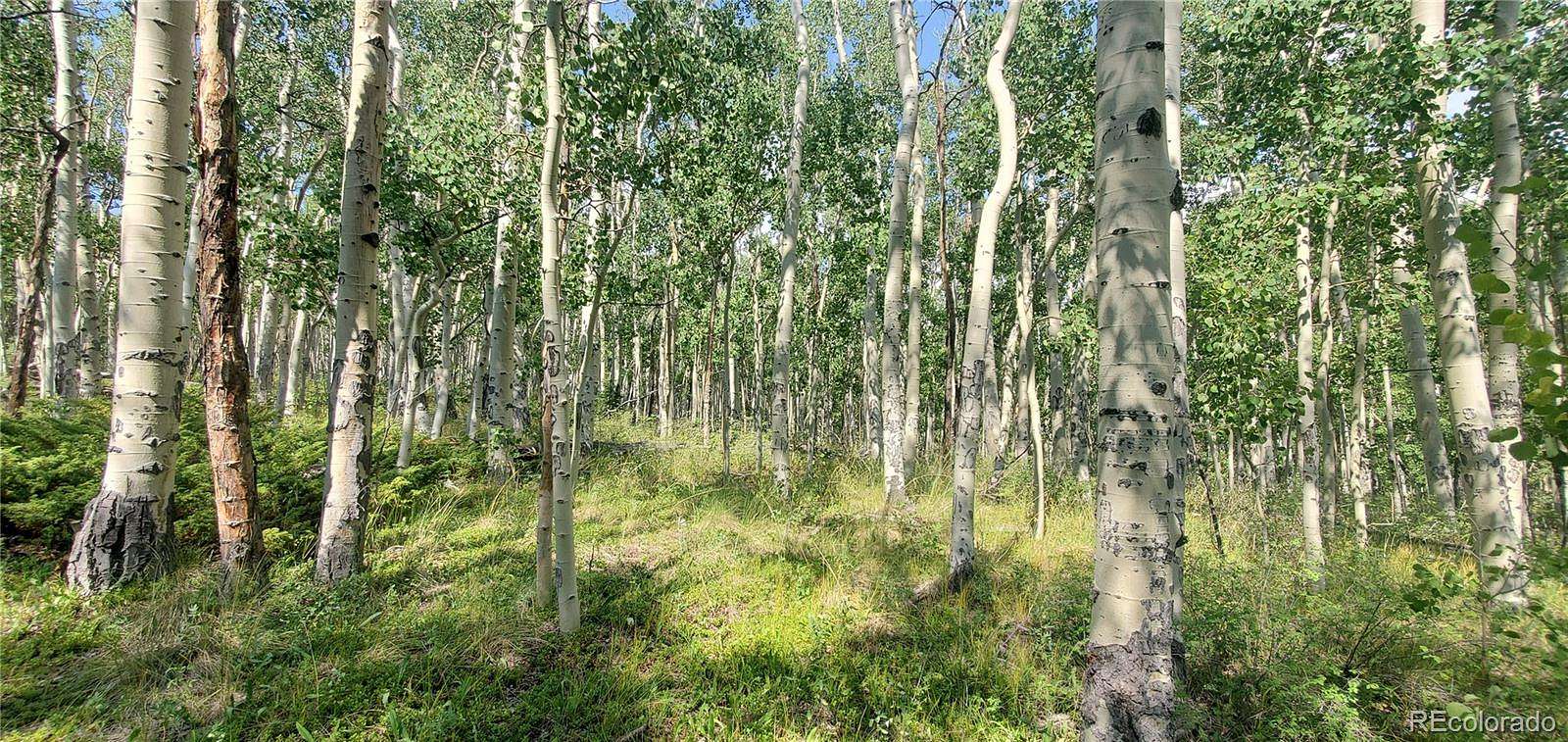 5.8 Acres of Land for Sale in Fort Garland, Colorado