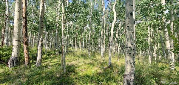 5.8 Acres of Land for Sale in Fort Garland, Colorado