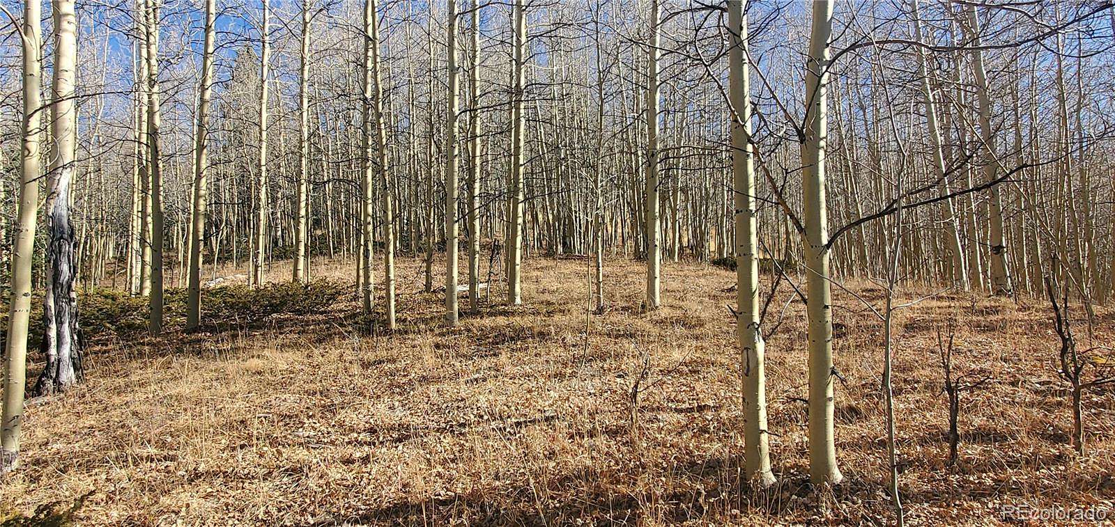 20.2 Acres of Recreational & Residential Land for Sale in Fort Garland, Colorado