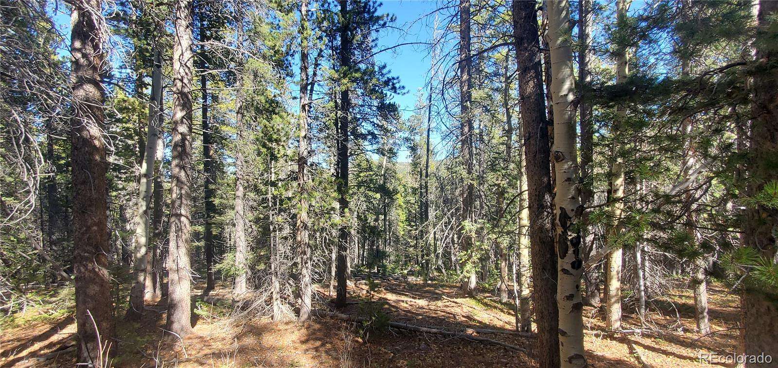 6 Acres of Residential Land for Sale in Fort Garland, Colorado