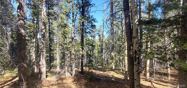 6 Acres of Residential Land for Sale in Fort Garland, Colorado