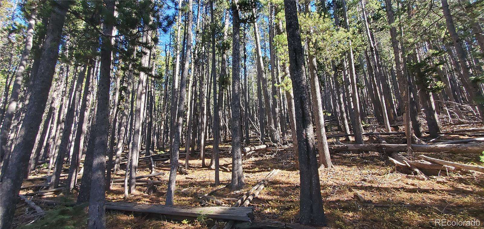 6.1 Acres of Residential Land for Sale in Fort Garland, Colorado