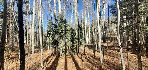 5 Acres of Land for Sale in San Luis, Colorado