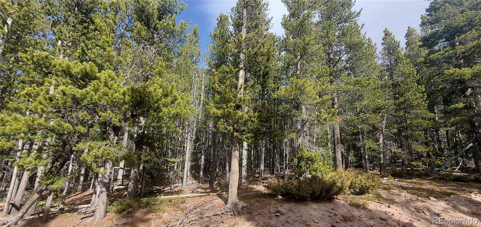 1.86 Acres of Residential Land for Sale in Fort Garland, Colorado