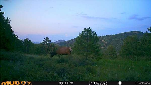 80 Acres of Recreational Land for Sale in Drake, Colorado