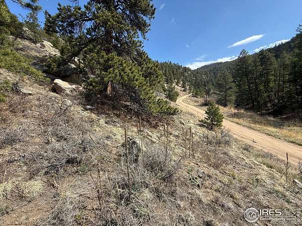 1.2 Acres of Residential Land for Sale in Estes Park, Colorado