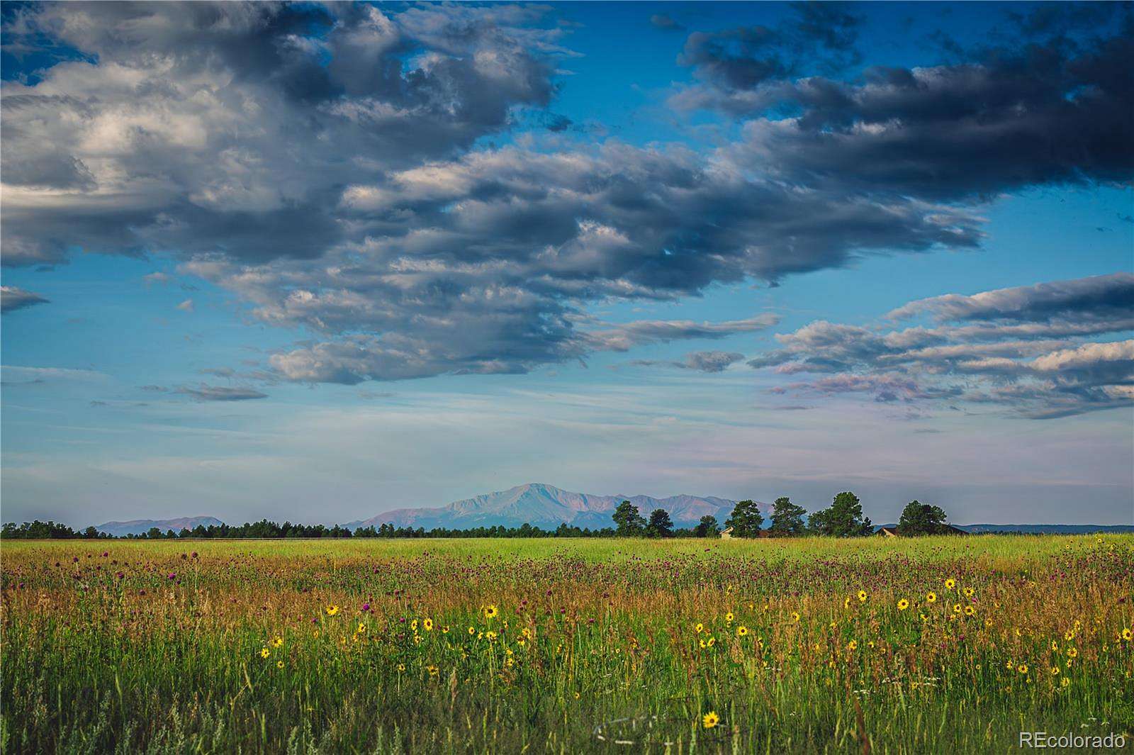 35 Acres of Agricultural & Residential Land for Sale in Elbert, Colorado