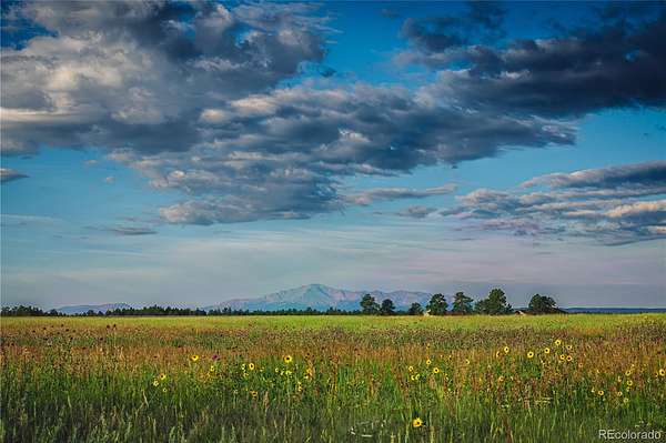35 Acres of Agricultural & Residential Land for Sale in Elbert, Colorado