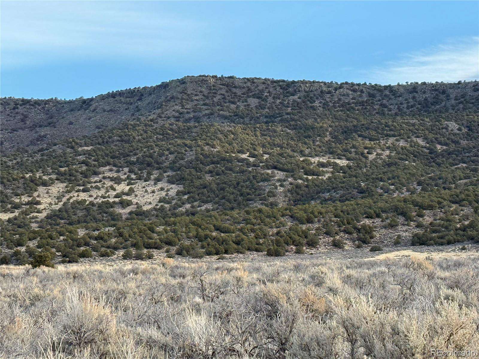 35.6 Acres of Recreational & Residential Land for Sale in San Luis, Colorado