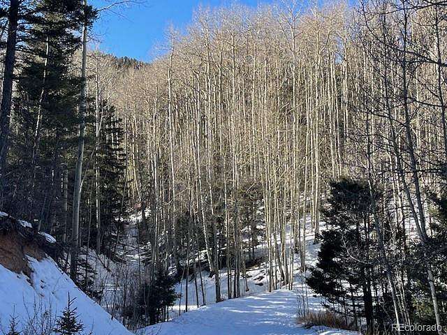 5.6 Acres of Residential Land for Sale in Fort Garland, Colorado