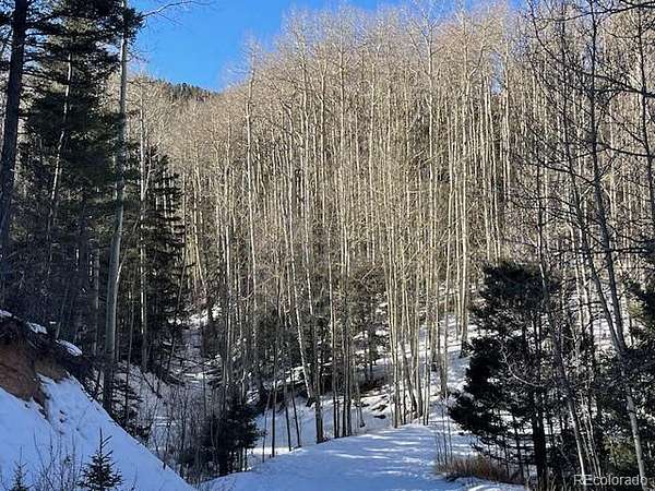 5.6 Acres of Residential Land for Sale in Fort Garland, Colorado