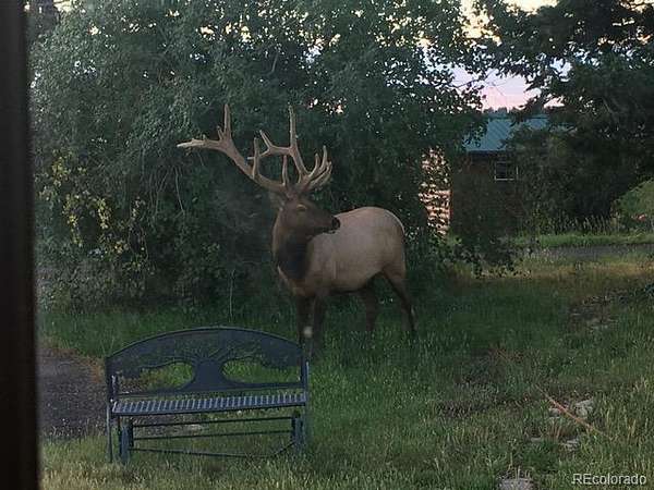 112 Acres of Recreational & Residential Land for Sale in Littleton, Colorado