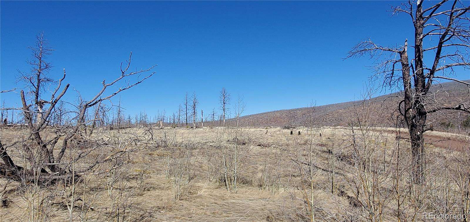 1.3 Acres of Residential Land for Sale in Fort Garland, Colorado