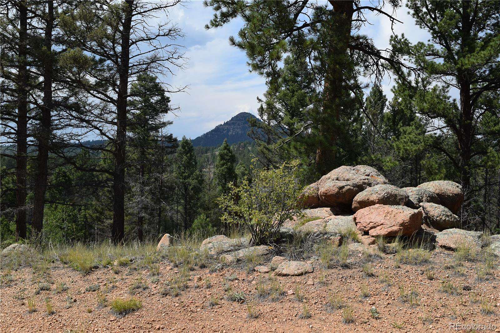 4.72 Acres of Residential Land for Sale in Florissant, Colorado