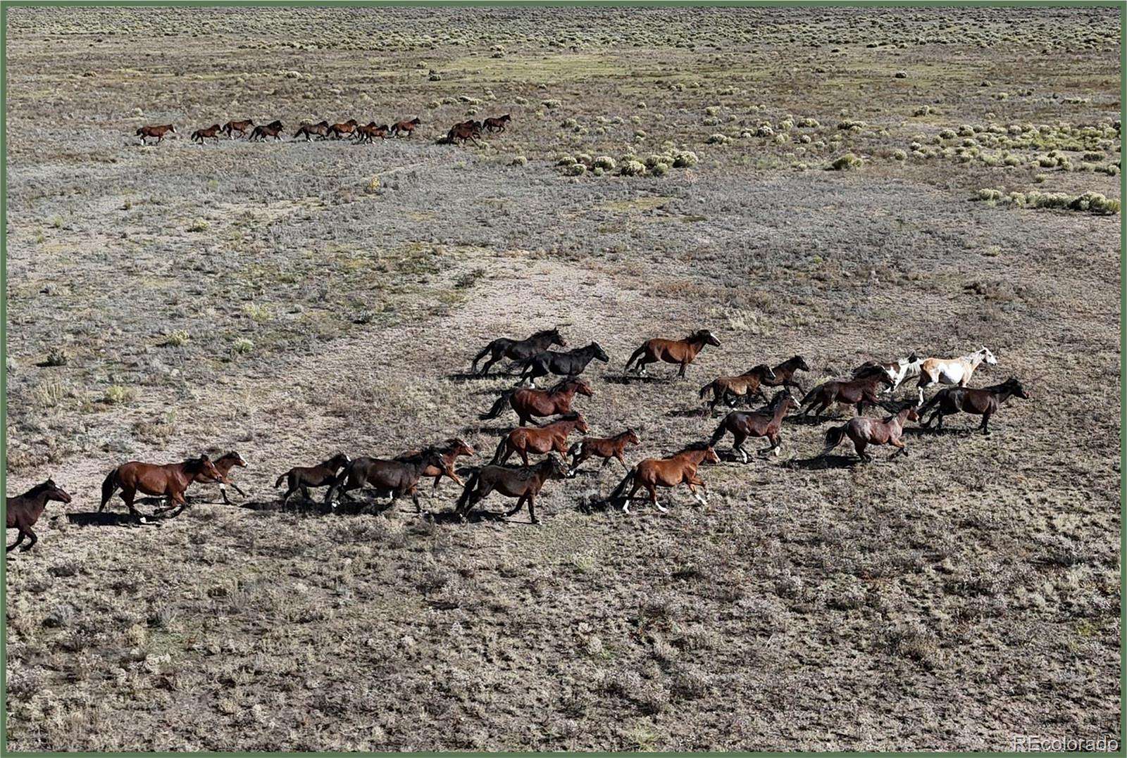 119 Acres of Recreational & Residential Land for Sale in Saguache, Colorado