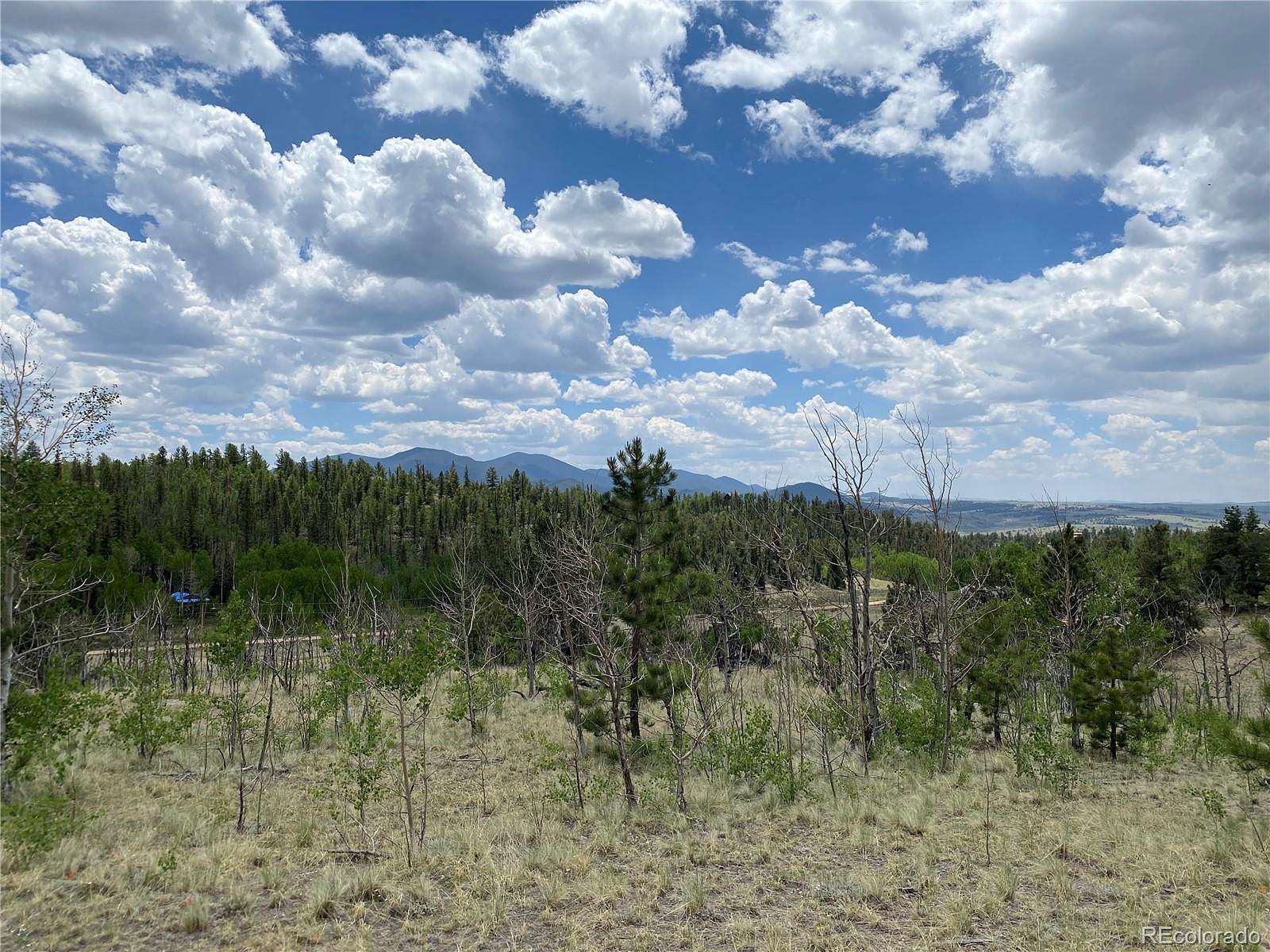 4 Acres of Residential Land for Sale in Jefferson, Colorado