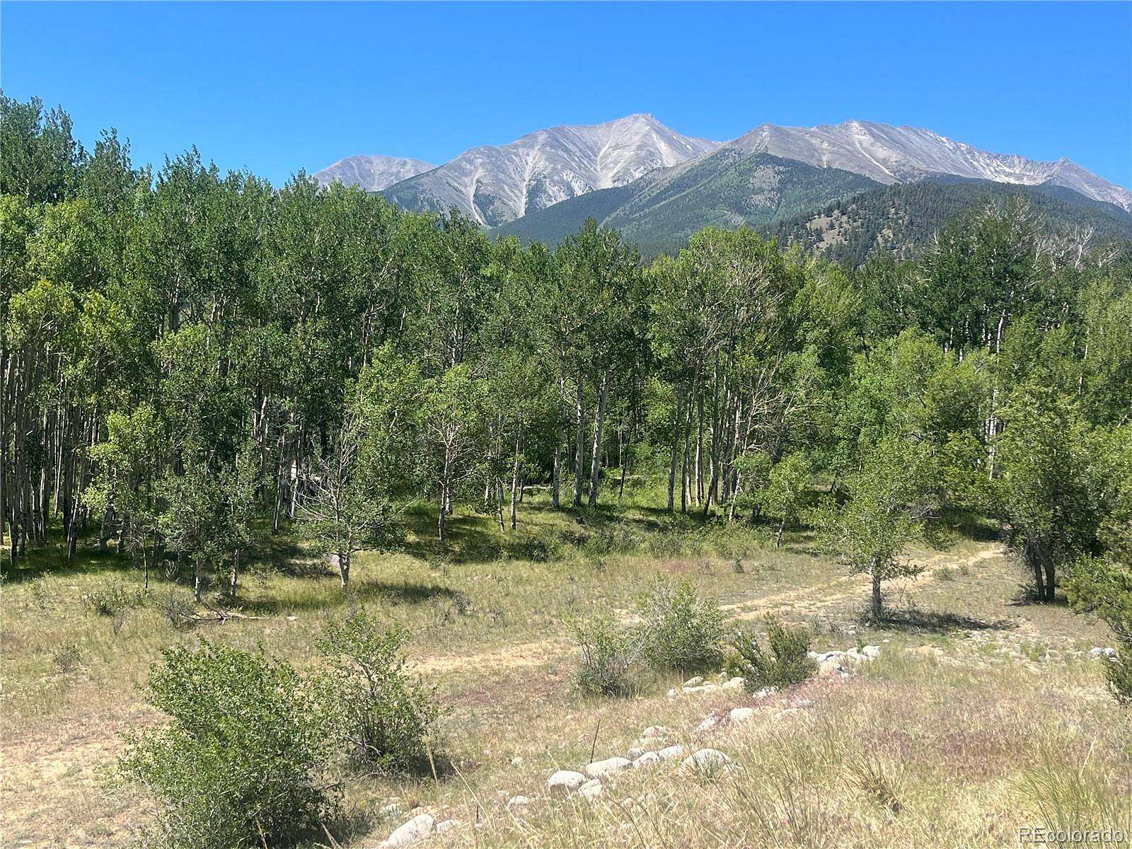 1.18 Acres of Residential Land for Sale in Buena Vista, Colorado