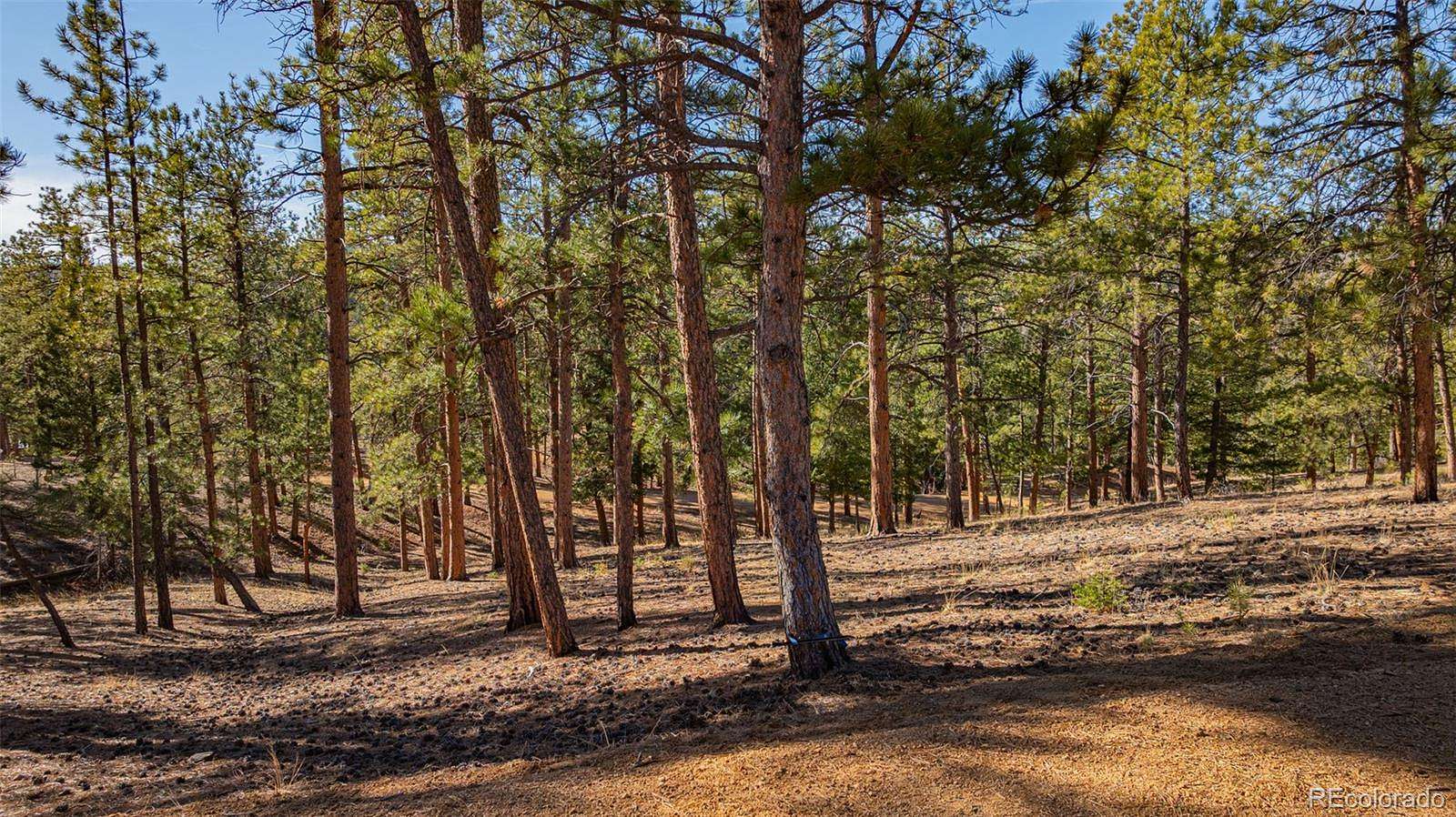 0.77 Acres of Residential Land for Sale in Sedalia, Colorado