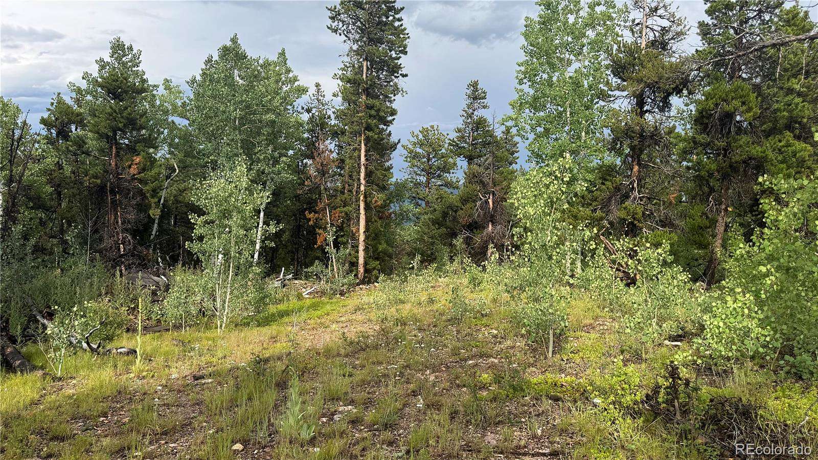 2.57 Acres of Residential Land for Sale in Central City, Colorado