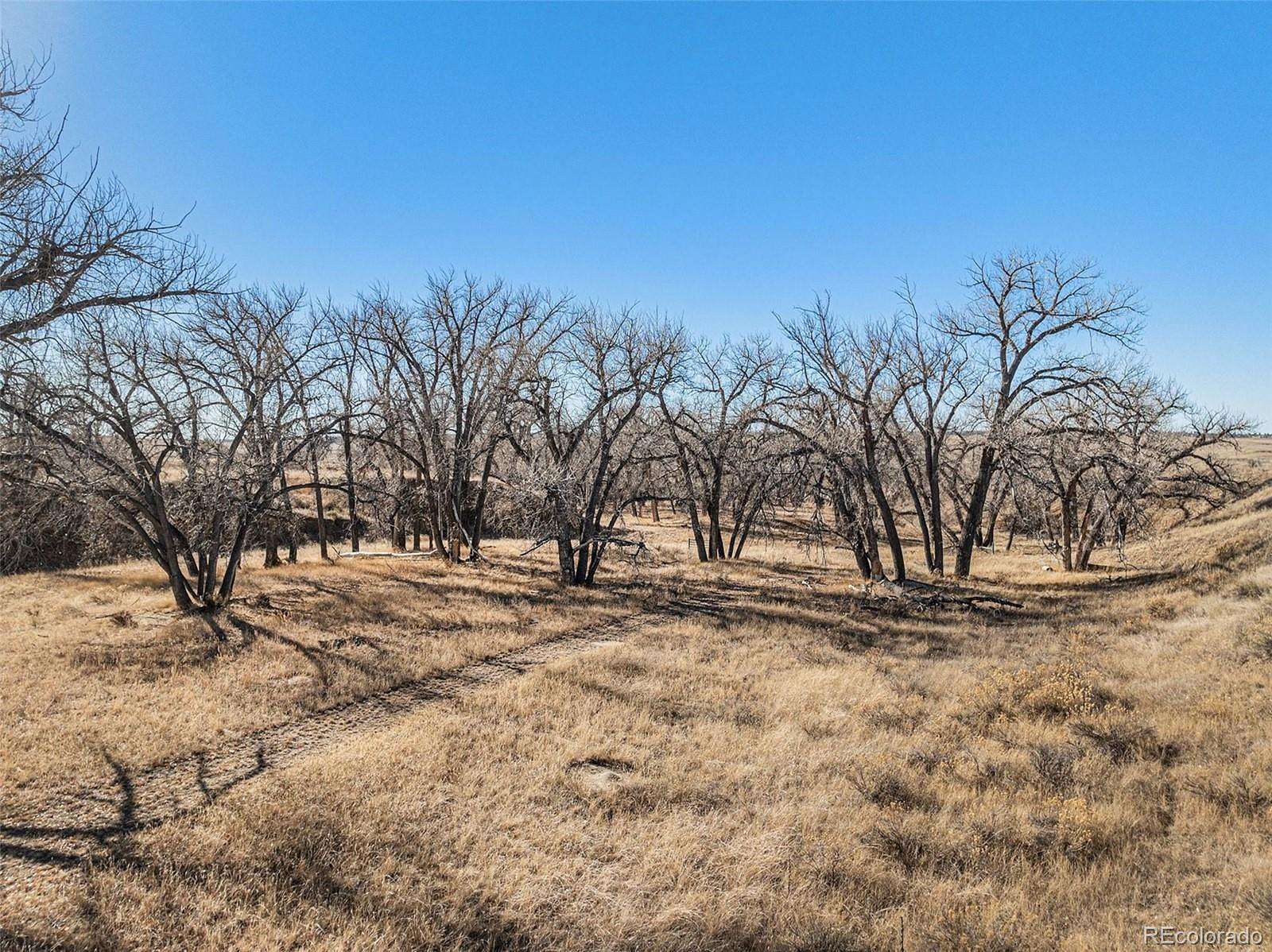 40 Acres of Recreational & Residential Land for Sale in Deer Trail, Colorado