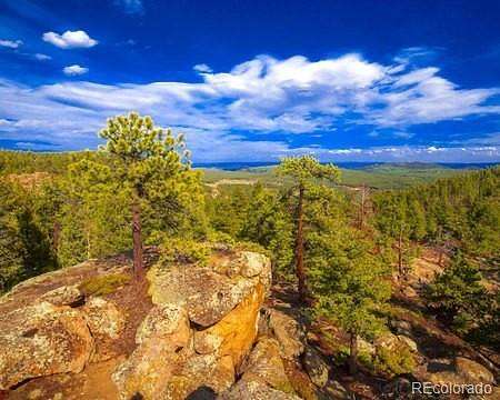 73.5 Acres of Recreational Land for Sale in Conifer, Colorado