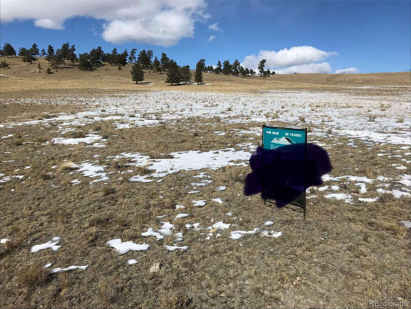 40 Acres of Land for Sale in Hartsel, Colorado