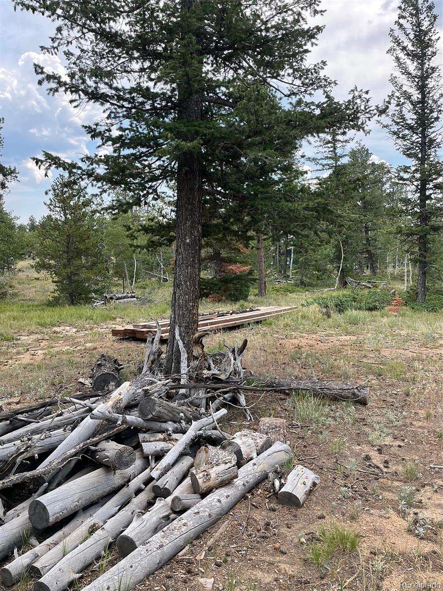 0.5 Acres of Residential Land for Sale in Red Feather Lakes, Colorado