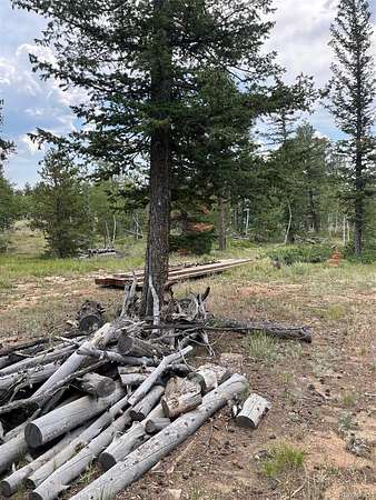 0.5 Acres of Residential Land for Sale in Red Feather Lakes, Colorado