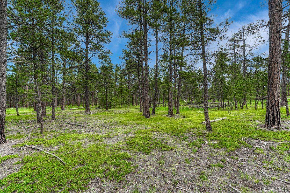 1.15 Acres of Residential Land for Sale in Colorado Springs, Colorado