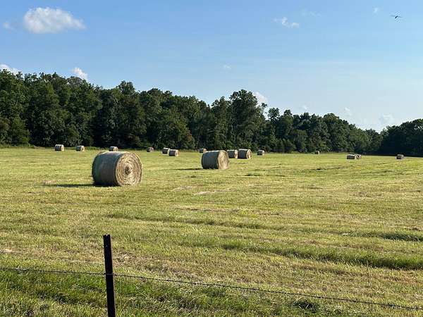 139 Acres of Land with Home for Sale in Willow Springs, Missouri