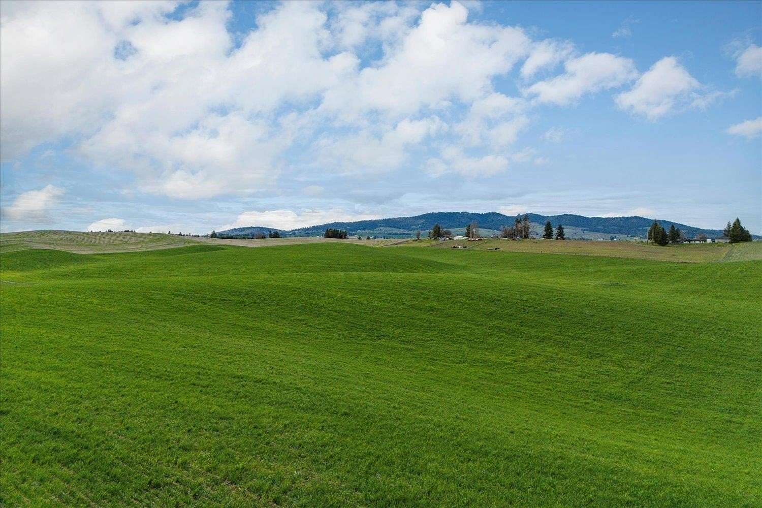 45.2 Acres of Land for Sale in Valleyford, Washington