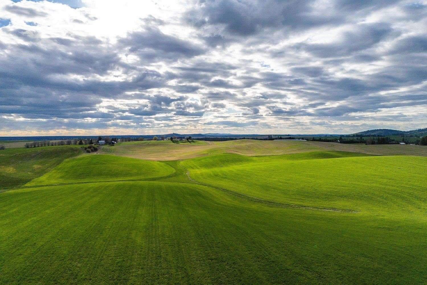 45.2 Acres of Land for Sale in Valleyford, Washington
